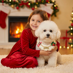 Christmas Knitted Pet Collar, Candy Cane & Pine Cone – Dogs & Cats