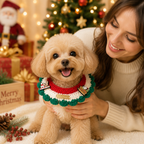 Christmas Knitted Pet Collar, Snowman, Reindeer & Santa – Dogs & Cats